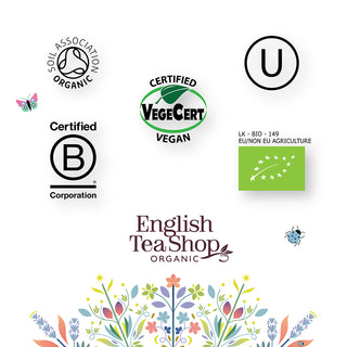 Everyday Favourites - 40 Tea Sachet Gift Pack