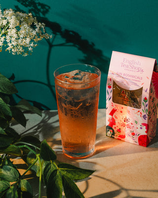 Apple, Rosehip & Cranberry - 7 Pyramid Infusion Bags Gin Botanicals