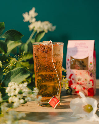 Apple, Rosehip & Cranberry - 7 Pyramid Infusion Bags Gin Botanicals