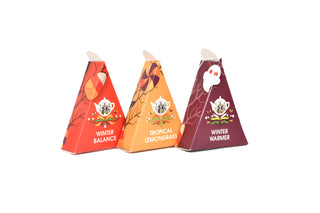 Halloween Gift Pack - 12 Pyramid Wedge - NEW FOR 2025